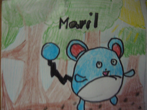 Pachirisu1: Maril