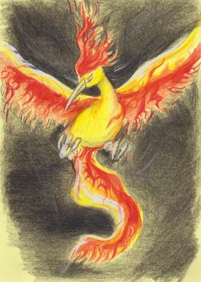 Charizardman: Moltres