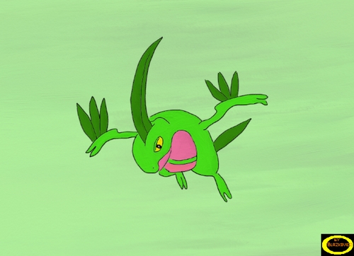 Blazkovicz: grovyle pro Niu3