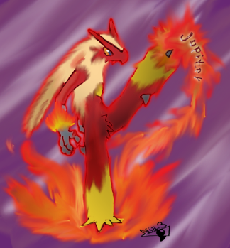 Nia Wolf: Blaziken! Your Power is in your Kick