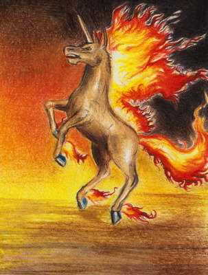 Charizardman: Rapidash