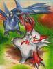 Charizardman: Zangoose vs. Skarmory