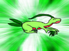 FireAnne: Grovyle pro Niu3