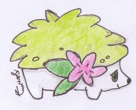 Denny: Shaymin