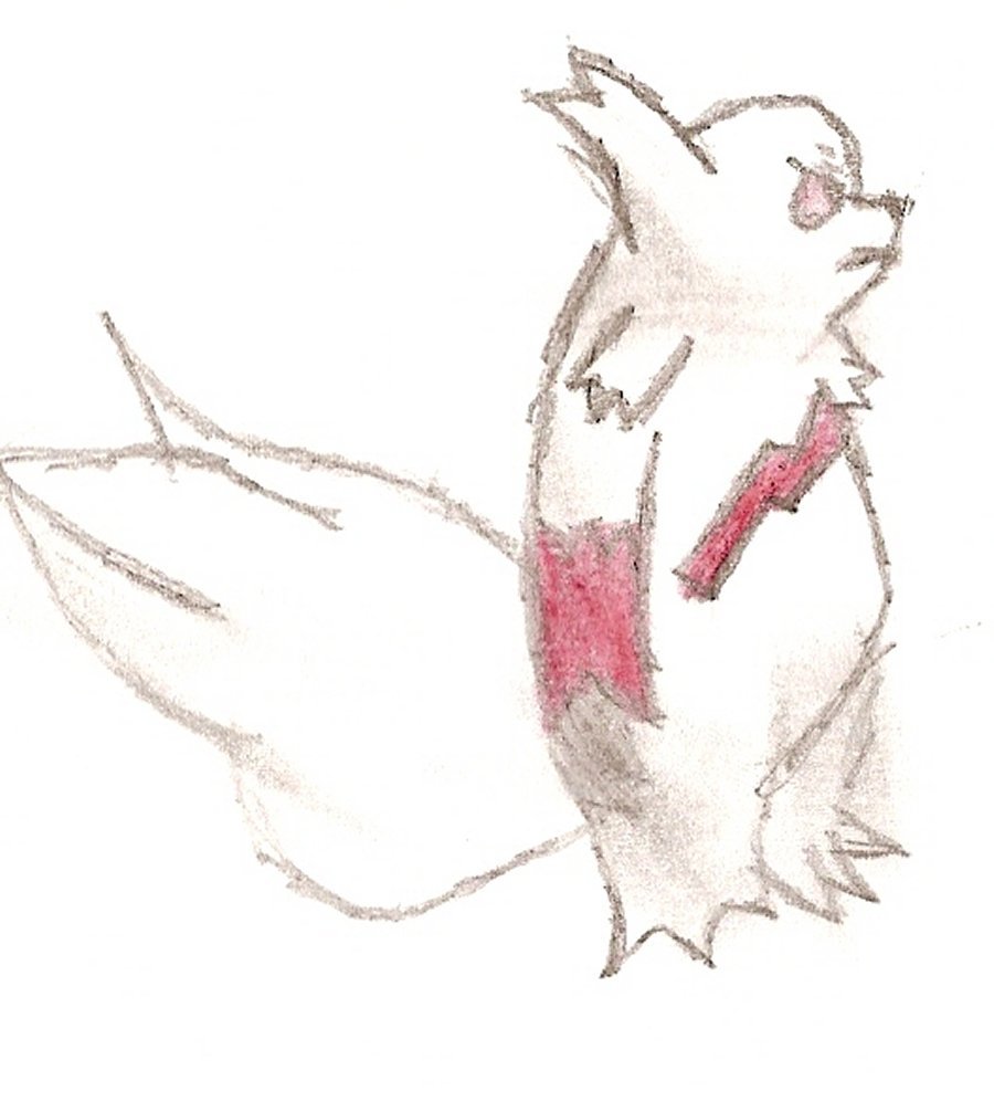Gabi Empy: Zangoose